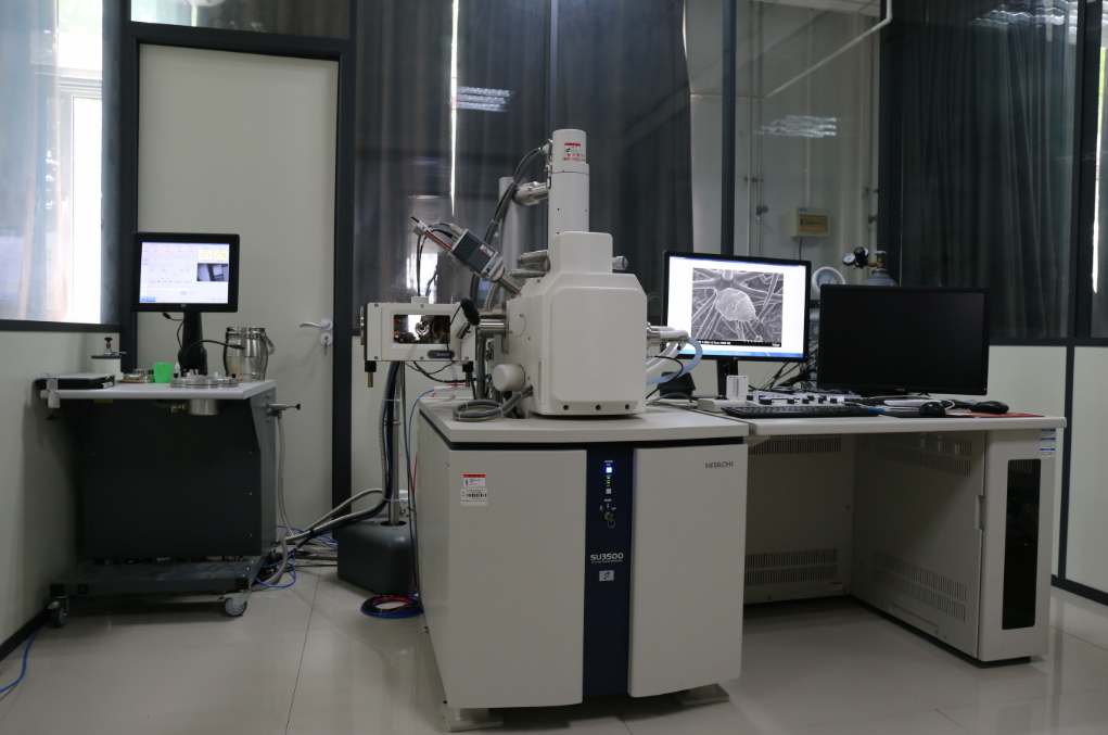 生物冷冻扫描电子显微镜（Cryo-SEM）